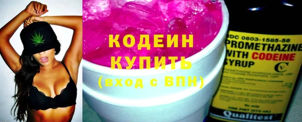 метадон Богданович