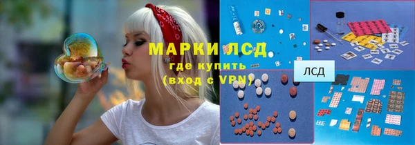 метадон Богданович