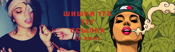 метадон Богданович