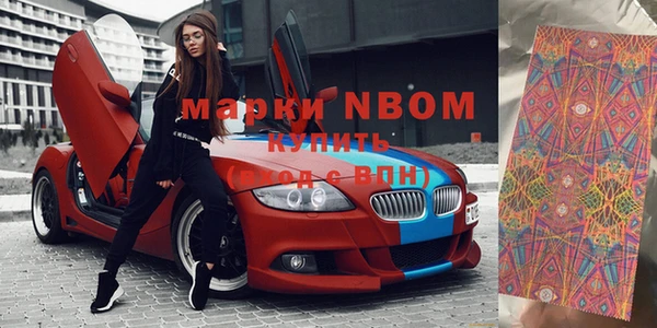 метадон Богданович