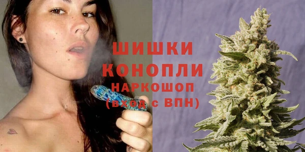 метадон Богданович