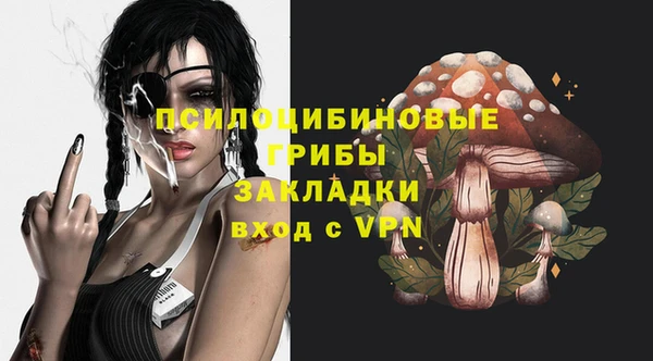 метадон Богданович