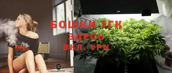 ешки Богородицк