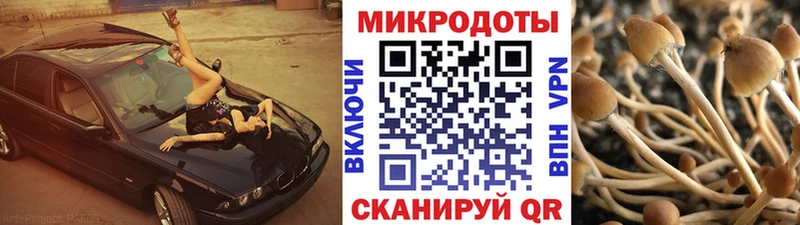 МЕГА онион  Энгельс  Галлюциногенные грибы MAGIC MUSHROOMS 